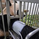 블랙헤어 이미지