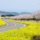 유채하우스 이미지