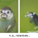 유천세차장 이미지