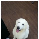 이삭도우미 이미지