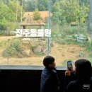 동산축사 | 전주동물원 아이랑 사자 늑대 코끼리 구경하기 더 좋아졌네