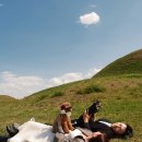 완일수산 - 완도군 신지면 | 후기 / 야외 스냅 / 반려견 스냅 / 대구 야외 웨딩 스냅 / 모꼬지 스냅 후기 (내 돈 내 산 완 전 만 족)
