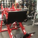 김보경 | PT 받고 3일동안 근육통 - Fitness 101 김보경 트레이너님 하체 운동 후기