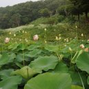 곤지암도자기공원 이미지