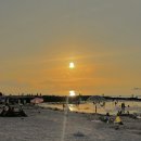 하대지구대 | 제주도 협재 해변에서 방치된 듯한 백구를 봤습니다.