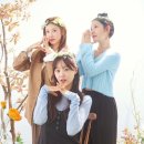 샤이보이컴퍼니