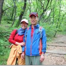 노적산농장 이미지