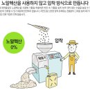 자연상회 이미지