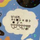 박촌강아지 | 여름 이겨내자 럭키빔.ᐟ