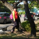 주암댐 전망대 이미지