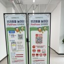 제6회 포인핸드X강릉 핑크빛 입양제 후기 | 유기견 만남의 현장