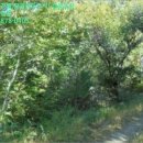 입암보건진료소 이미지