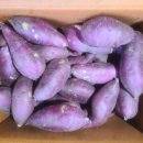 가정1-02-010 이미지