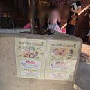 청년피자(당진송산점) | 당진 가볼만한곳, 이음당진 청년 플리마켓 현장 후기
