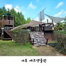 여주 아이와 가볼만한곳 자연속에서 즐기는 야외 숲놀이터 예크생물원