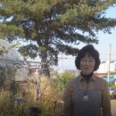 송강사농장 네이버블로그