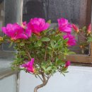 승모당구장 이미지