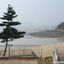 이일레민박 이미지