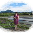 바깥신천경로당 | 창원 북면 마금산,천마산 - 널널산행, 주남 저수지 나들이