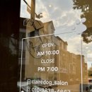 끌레르독 이미지