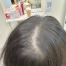 류헤어갤러리 이미지