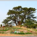 갈맷길(1코스) 이미지