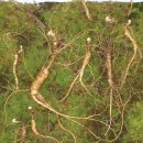 평거한의원 이미지