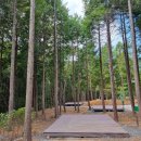 남해편백자연휴양림 이미지