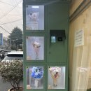 삼안로 | 김해 인제대 24시간 꽃집 삼방동 꽃다온