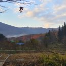 구적골농원 이미지