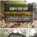 서유농원 네이버블로그