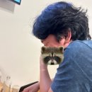 테크노순환대로 | 투썸플레이스 포르쉐 911 케이크 예약 가격 할인 꿀팁까지