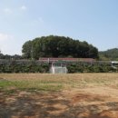 (학교)남산초 이미지