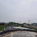 명품바이오
