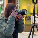 괴산읍젊음의거리 이미지