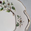 도그 블라썸 이미지