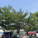 남다름뷰티 이미지