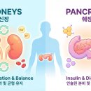 중원상대원1-D-2 이미지