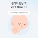 세영한의원 | [엄마가 된 일진짱 3]임신 후기에 들어서다••• 아기는 벌써 1.8키로가되었슨👶🏻(근데 이제 칼국수집...