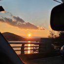 남사-10 | 용인 카페 추천 애견동반 가능한 남사커피 다녀왔어요