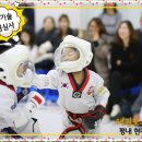 키즈 태권도 현대체육관 이미지