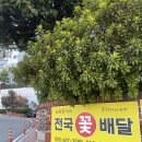 마산예쁜꽃집, 풍성한 꽃다발 선물하기 좋은 초록꽃자리