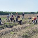 덕둔지농장 이미지