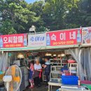 숙이네연탄구이 | [맛집탐방] 부산 암남공원 조개구이 맛집 숙이네조개구이 내돈내산 후기