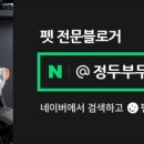 더미양 이미지