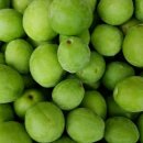 도자기(저녁) 이미지