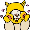 영대연합동물병원 이미지