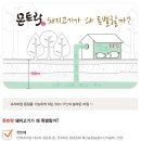 한입족발 이미지