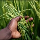 5일장길 이미지