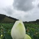 신천농장 이미지